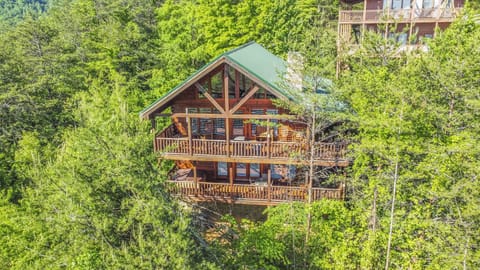 Secluded multi-level cabin nestled in the trees with expansive decks.