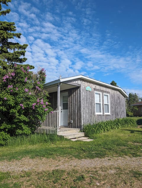Aurora cottage and the lilacs!