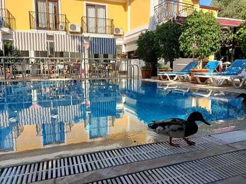 Seasonal outdoor pool, pool umbrellas