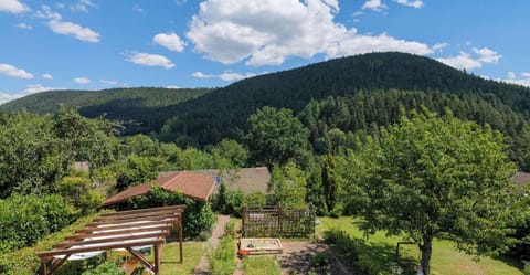 beautiful view in the black forest and garden