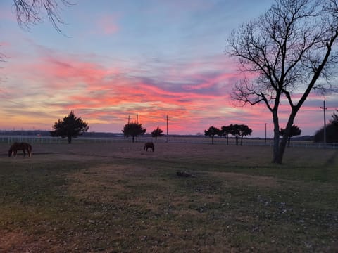 Beautiful sunset from the Porch