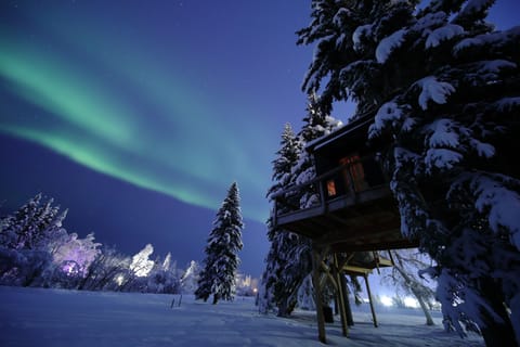 Marvel at the northern lights from your elevated treehouse surrounded by snow-laden trees. A magical Alaskan experience blending nature's beauty and cozy comfort.