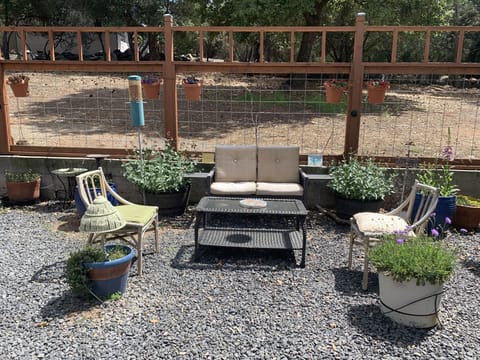 Reconnect with nature while watching the birds bathe and listen to their songs. 