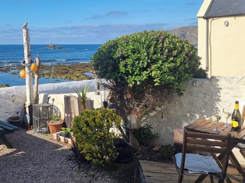 Garden | The Windowky, Gardenstown