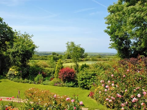 Garden and grounds | Llys Isaf, St Nicholas
