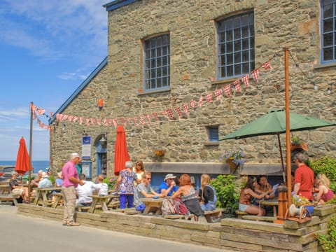 Outdoor area | The Bickney, Near Porthgain