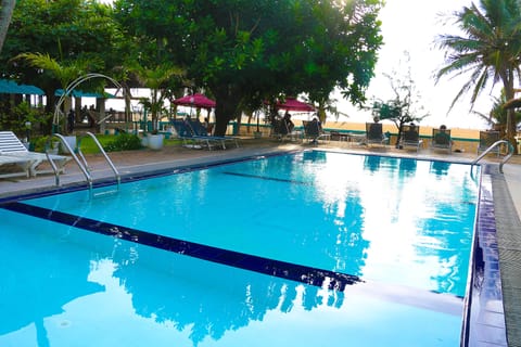 Outdoor pool, sun loungers