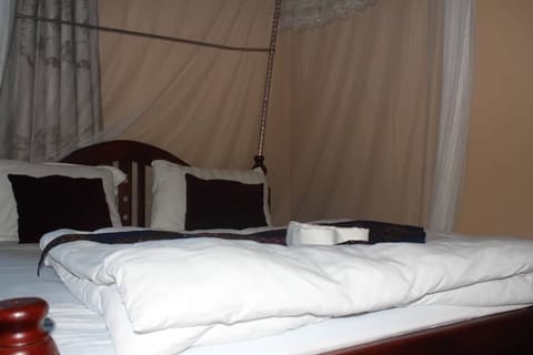 Pillowtop beds, individually furnished, desk, laptop workspace