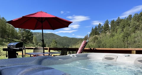 Your view from the hot tub. 