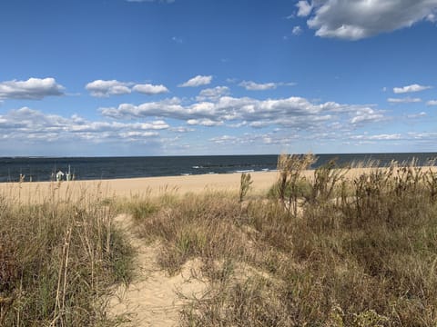 Cottage, 4 Bedrooms | Beach | On the beach