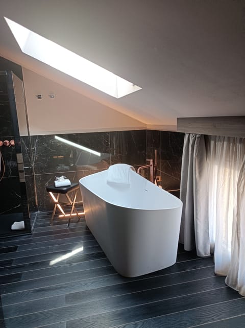 Penthouse | Bathroom | Shower, rainfall showerhead, free toiletries, hair dryer