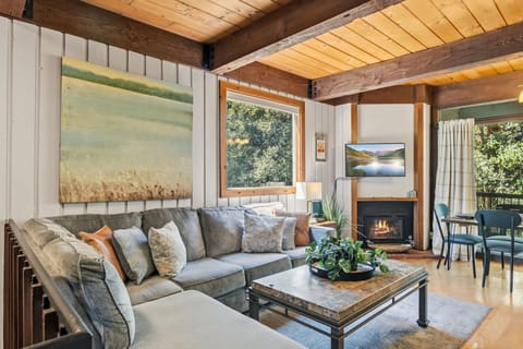 Living room: Smart TV with cable, gas fireplace, electric baseboard heat, no A/C