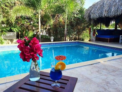 Outdoor pool, open 8:00 AM to 8:00 PM, sun loungers
