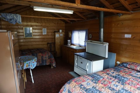 Cabin 2 is a cozy rustic cabin that features a wood-burning stove. (1)