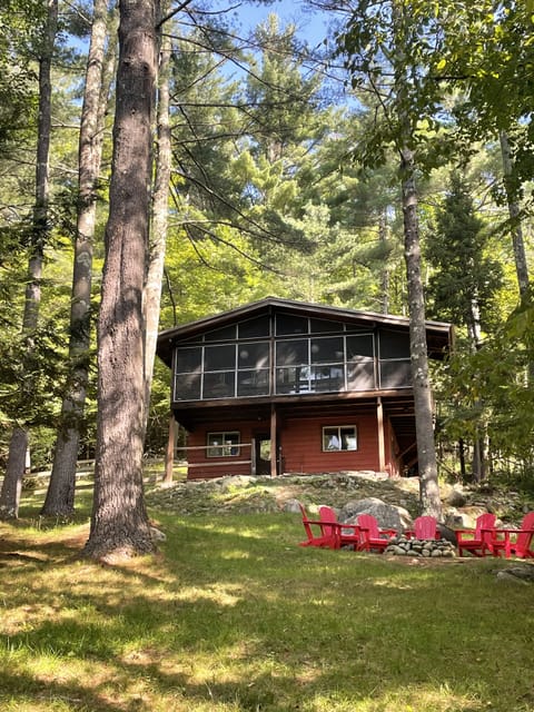 Forest Hideaway