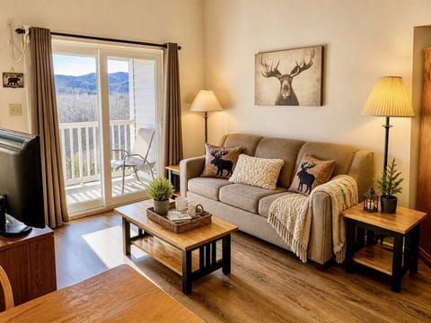 enjoy the stunning Mountain and River View from our cozy living room