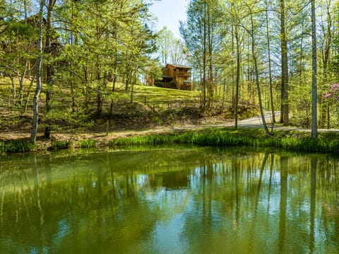 view from the catch and release pond