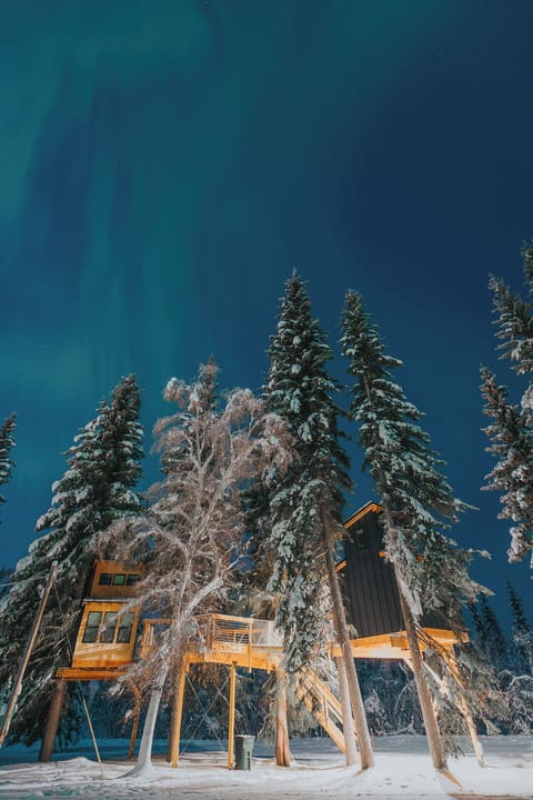 Sleep under the auroras in your own luxury treehouse hideaway.