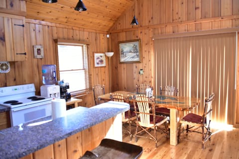 Kitchen and dining area