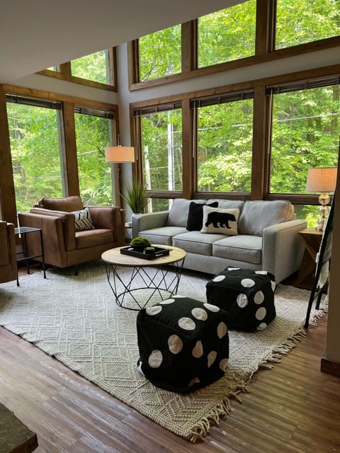 living room with queen sleeper sofa.
