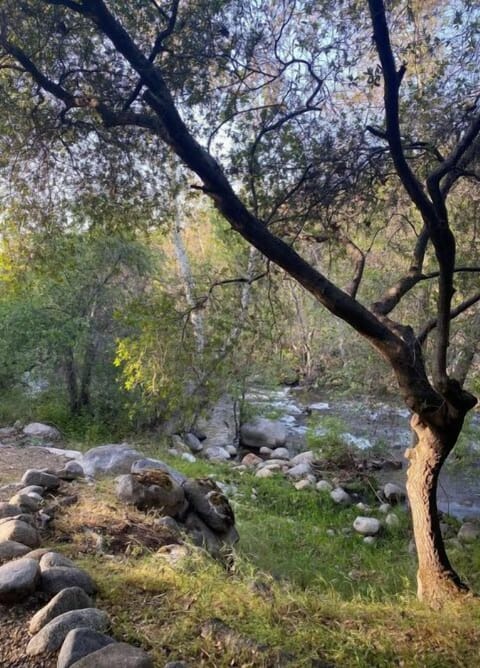 Relax by the river and enjoy the peaceful sound of flowing water.