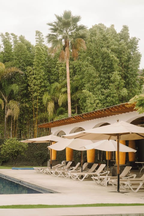 32-inch Smart TV with digital channels, TV