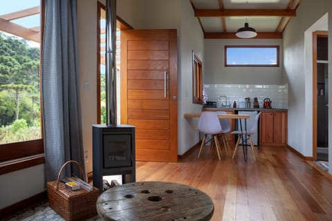 House | Living area | Fireplace