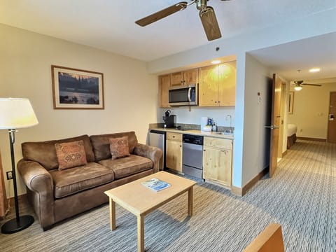 Living Room + Kitchenette + couch (not a pullout bed) | Listed with @BookTraverse