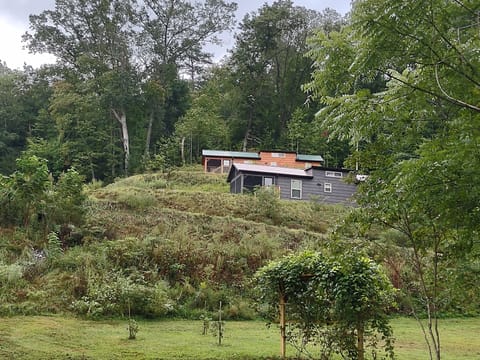 the trees have cone in quite a bit since this was taken. lots of privacy!