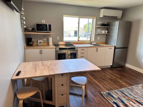 Premium Apartment | Private kitchen | Microwave, coffee/tea maker, eco-friendly cleaning products, freezer