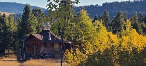 Late afternoon - Fall Aspen glow