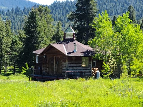 SUMMER CABIN   Late June   