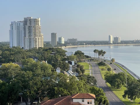 Directly on Bayshore Boulevard. Our ever changing view is so relaxing. 