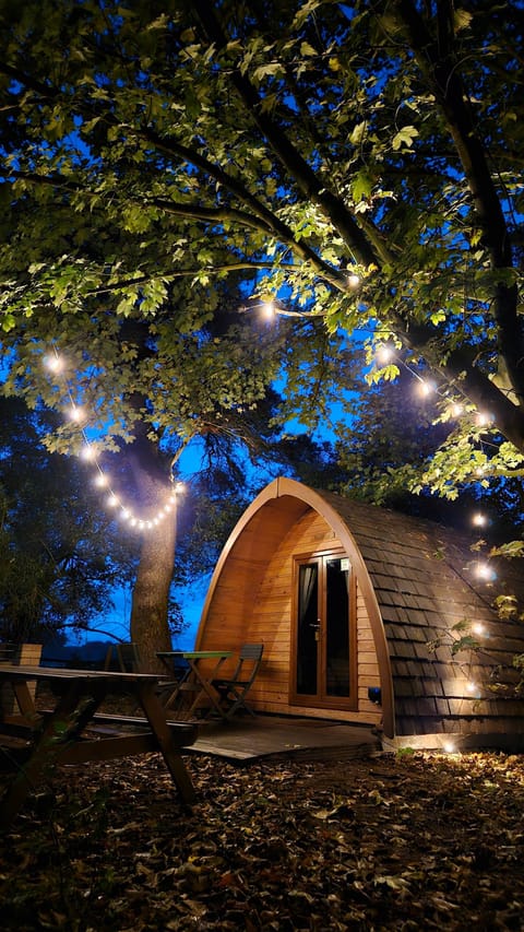 Fairy Lights in Boudicca