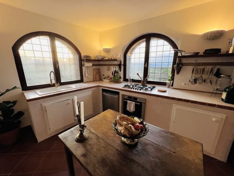 The main villa's kitchen