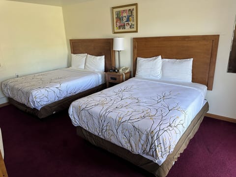 Basic Double Room | Individually furnished, free WiFi, bed sheets