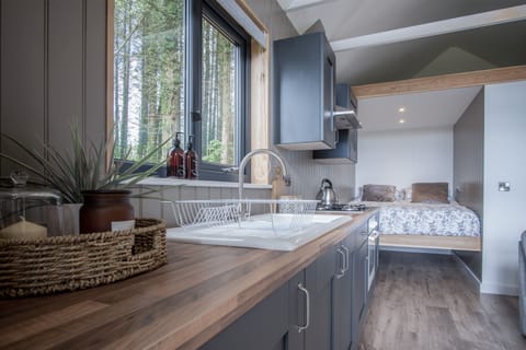 Fridge, oven, stovetop, electric kettle