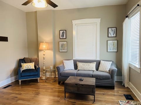 Tall ceilings and natural light - sleeper sofa