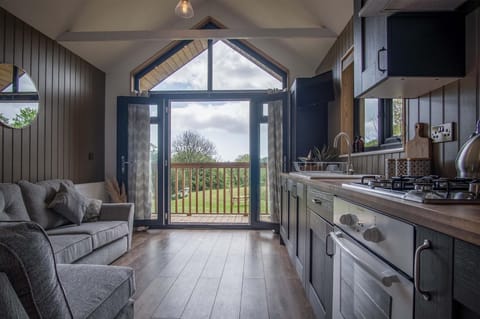 Cabin In The Woods - 1 Bedroom Lodge - Kilgetty (21000)