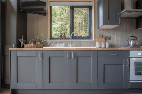 Cabin In The Woods - 1 Bedroom Lodge - Kilgetty (21009)