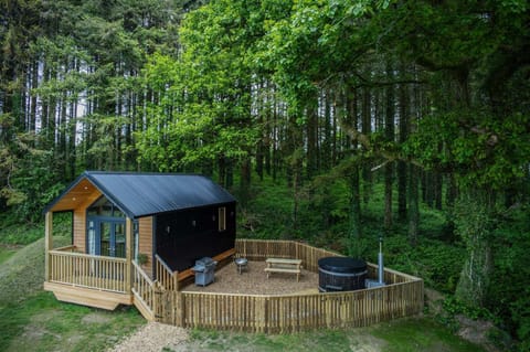Cabin In The Woods - 1 Bedroom Lodge - Kilgetty (21036)