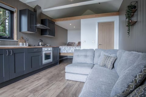 Cabin In The Woods - 1 Bedroom Lodge - Kilgetty (20997)