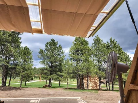 Our unique Convertible A-Frames open to the sky! Commune with nature!