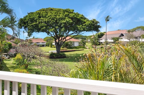 View from your private lanai