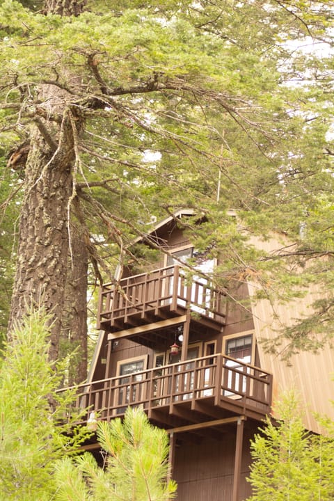 Nestled among the trees with lots of mountain charm. 