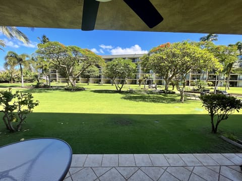 Lanai with ceiling fan