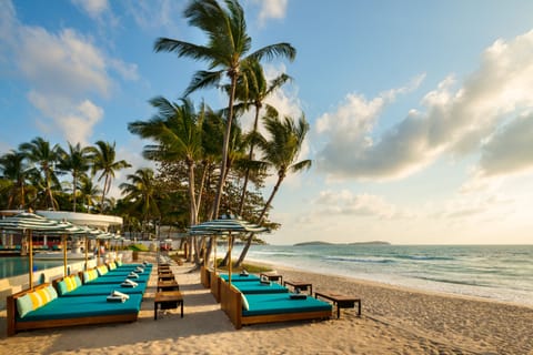 On the beach, white sand, kayaking