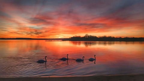 The sunset on Oakland Beach