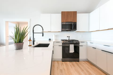 Modern flat panel cabinets and high-end appliances. 