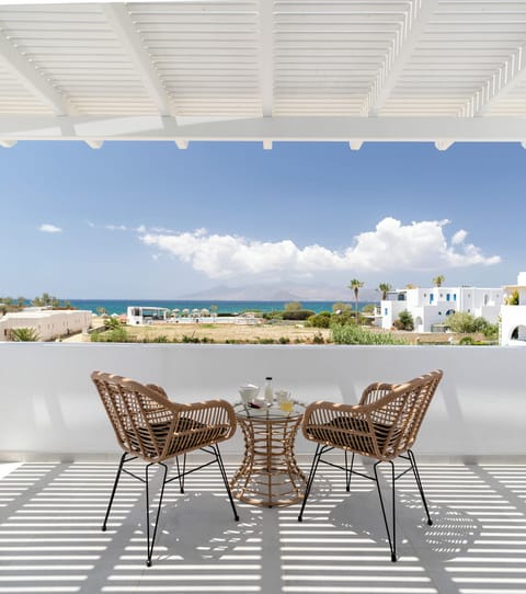 Studio Suite | Terrace/patio